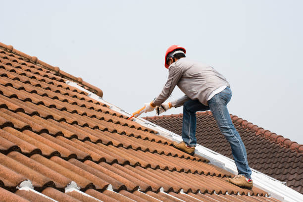 Best Metal Roofing Installation  in Lorado Springs, CO